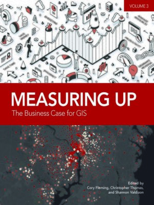 cover image of Measuring Up